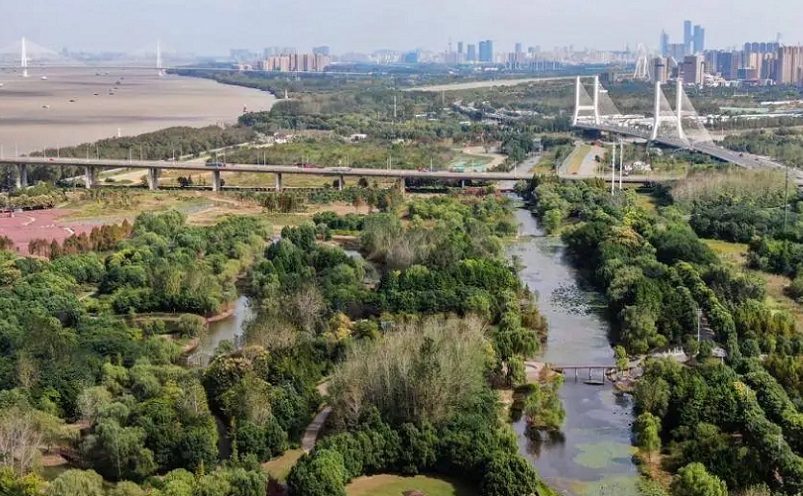 12月南京有哪些免费景点,南京市民免费旅游景点