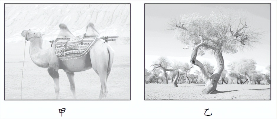 高考地理选择题易错题整理,2024版高考地理选择题考点