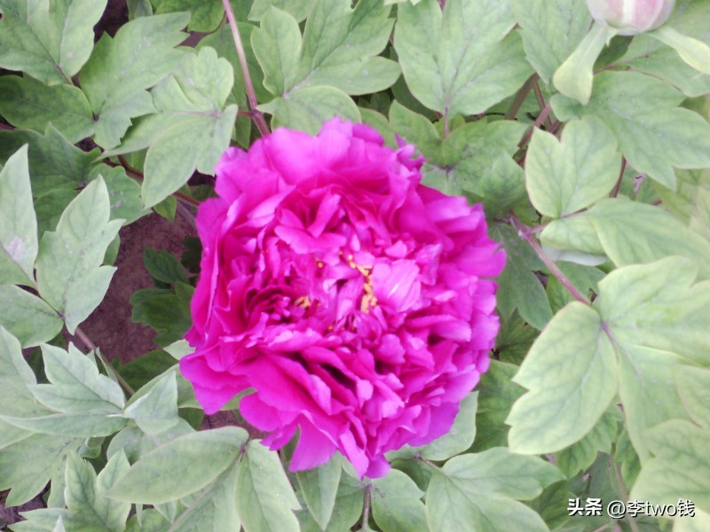 2005年到2015年最火的歌,2006年好听的流行歌曲大全