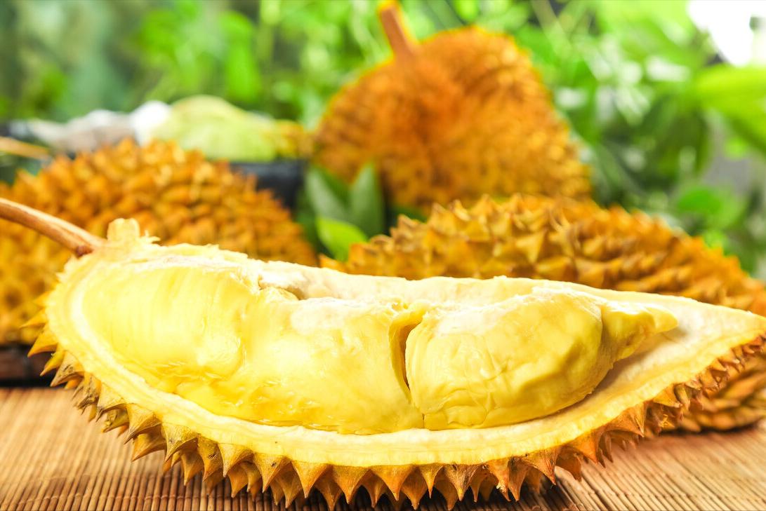 金枕榴莲和猫王图片,托曼尼榴莲和猫山王榴莲的区别