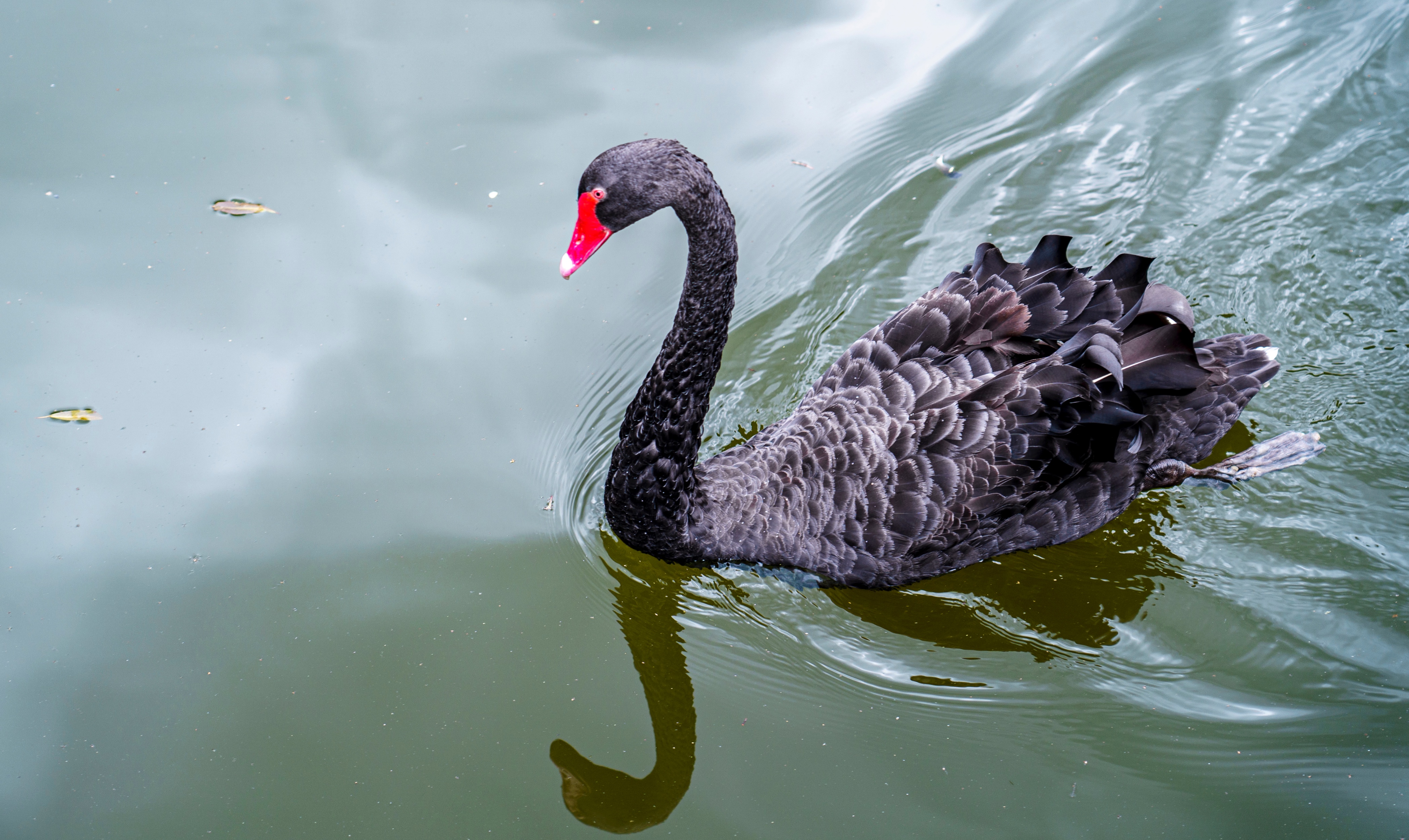 杭州漂流去哪里比较好玩,距离杭州20公里的漂流