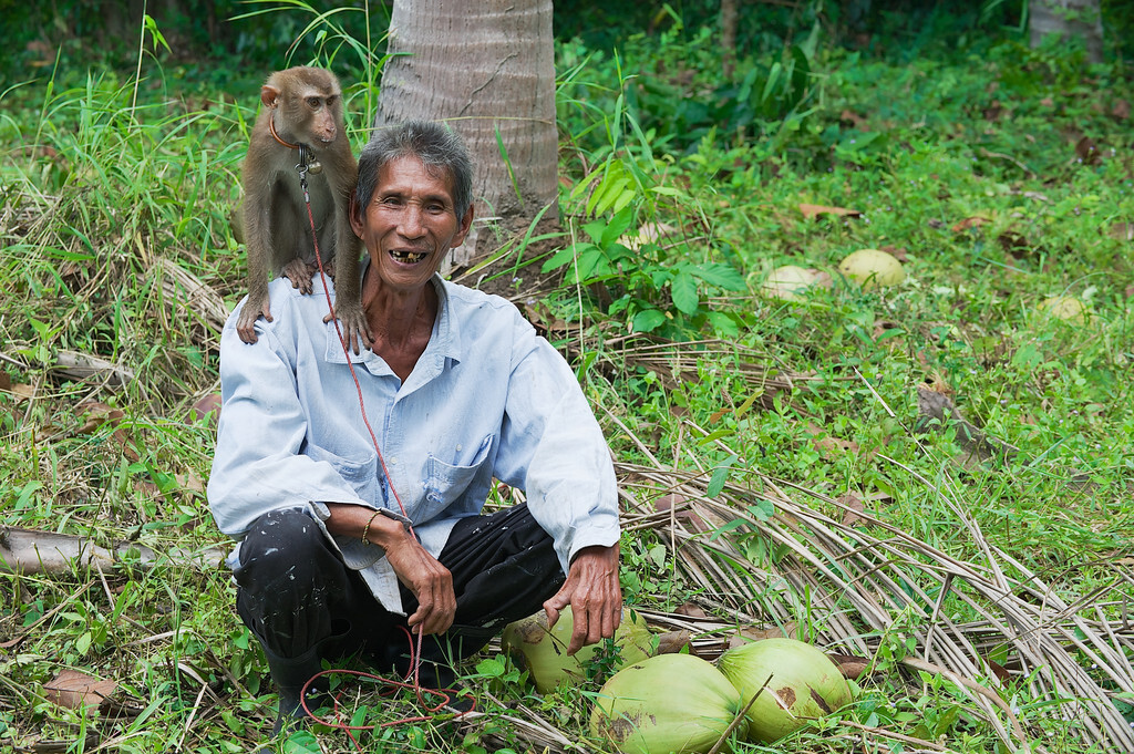 用诗记录生活的诗句,用诗词记录人生