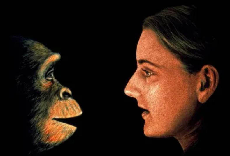 美国女孩艾米丽,美国女孩艾米丽在中国