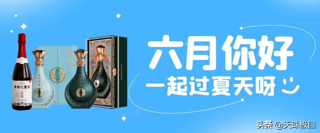 望归来仍是少年的前一句,望归来仍是少年