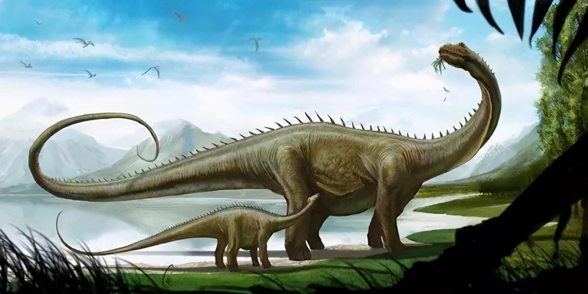 世界上最大的生物比蓝鲸还大,海洋最大生物蓝鲸