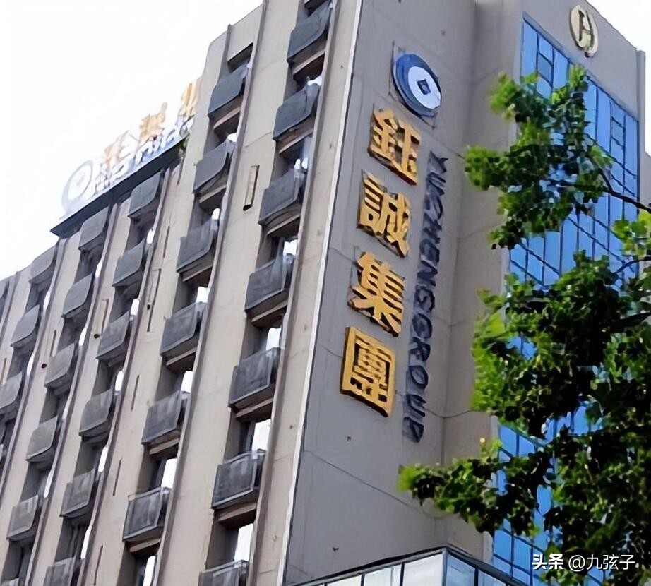 e租宝丁宁后宫,丁宁巅峰时期e租宝