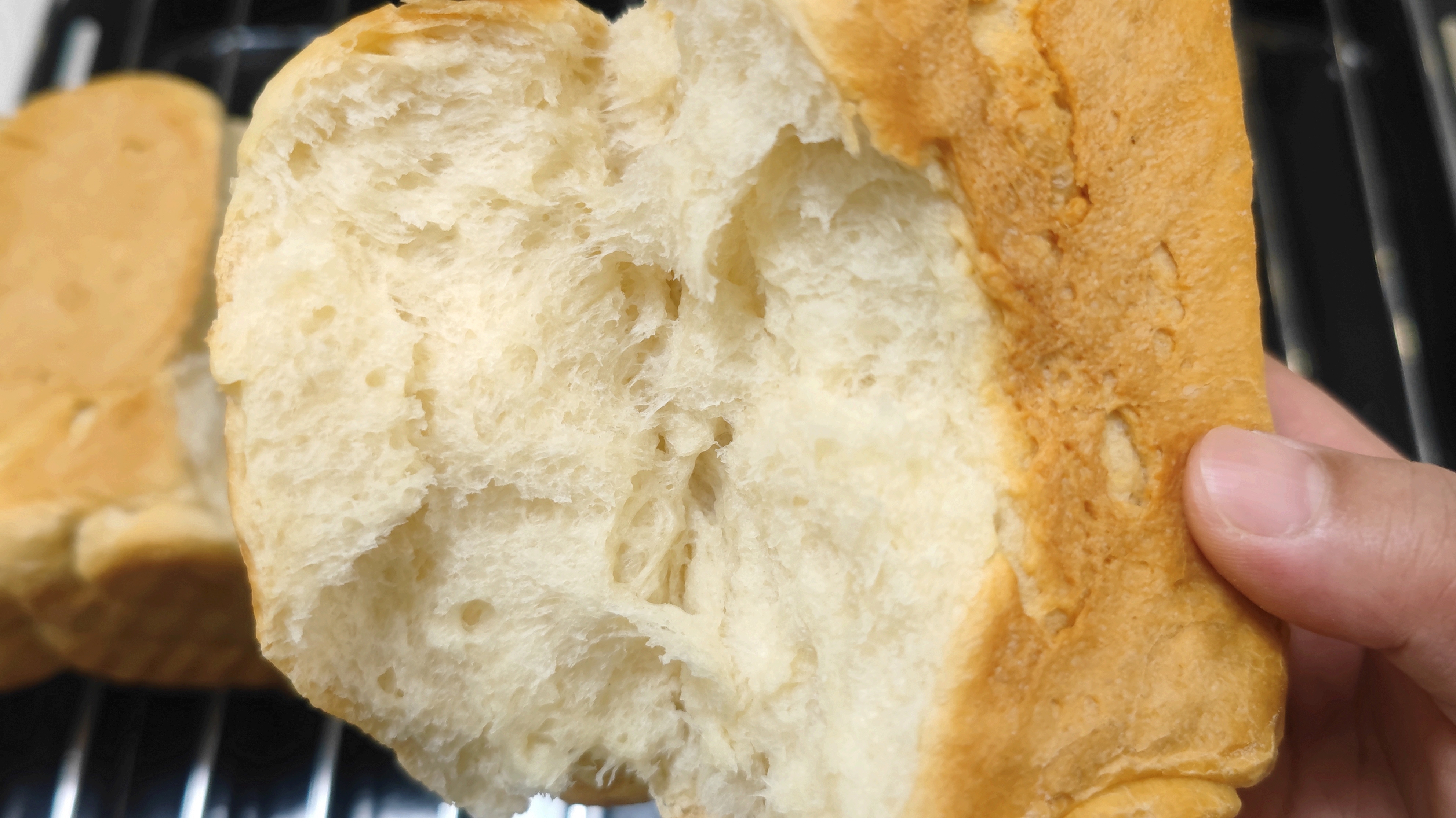 长帝企鹅顶顶和海氏m6哪个好,企鹅顶顶厨师机做蛋糕