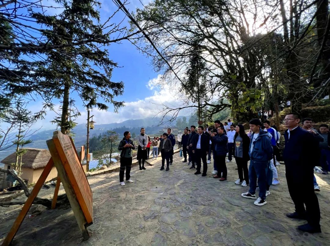 党建引领争先锋实干担当促发展,元阳县党建