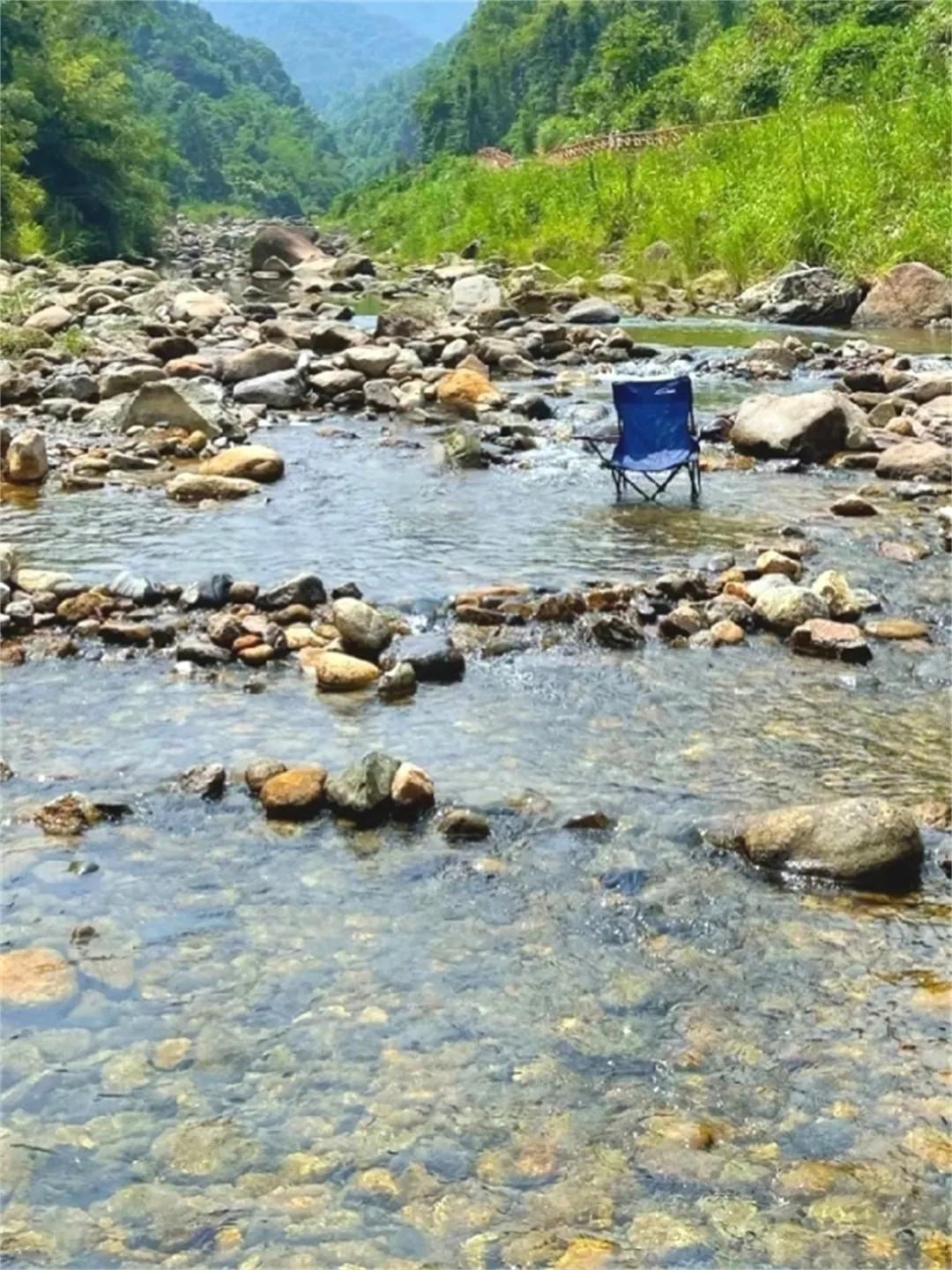 从化草埔村荷花游记,从化小杉村游玩攻略油菜花