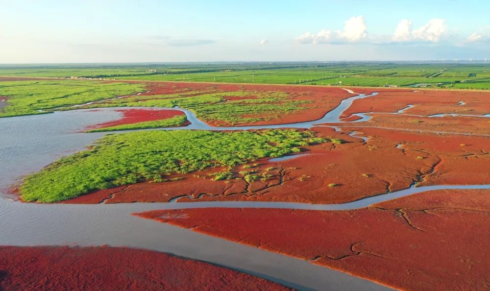 旅游图片合集多张海边,七月的红海滩景色怎么样