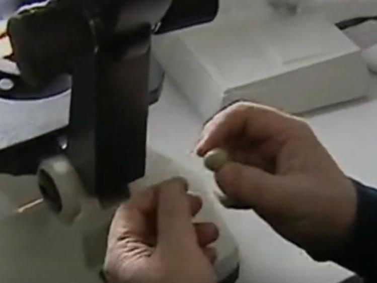 小伙雪夜救人获赠一颗“小泥丸”，遗忘杂物间，38年后被估值两亿