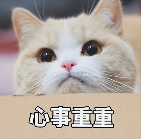 膝骨关节炎最快自愈方法,膝骨关节炎会导致哪些疾病