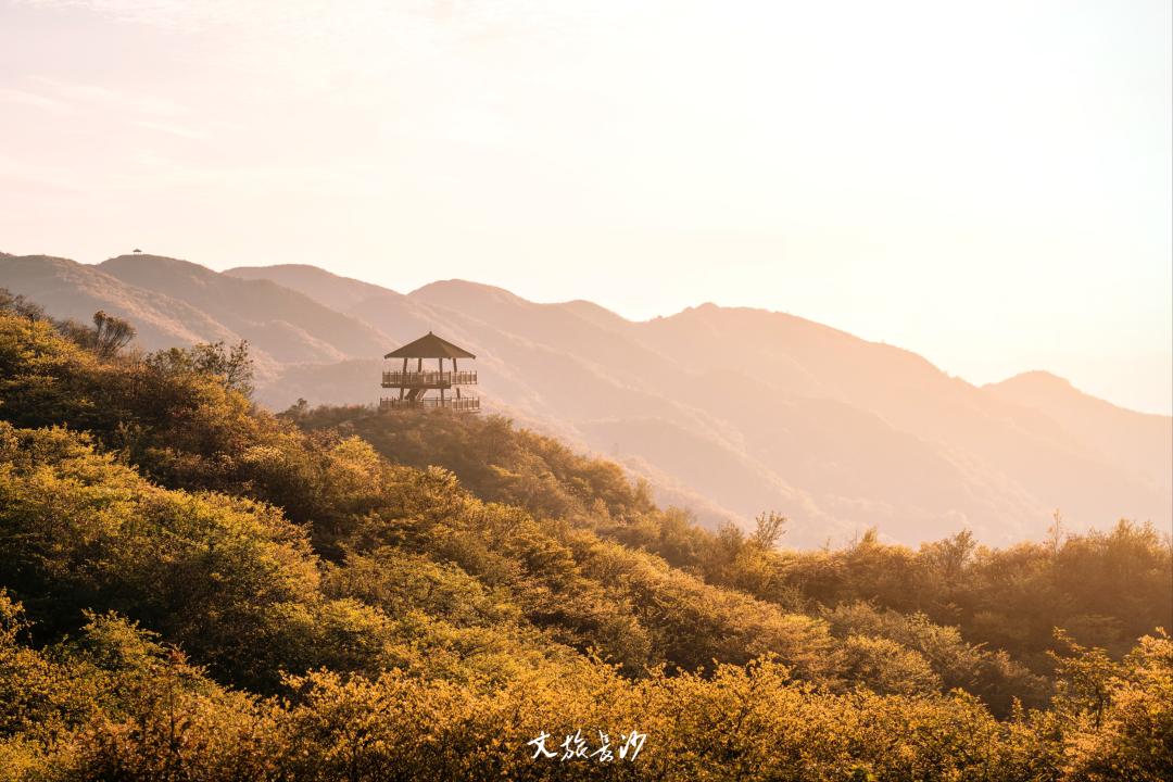 娴忛槼鐑熻姳鏃呰,鏄熷煄鏃呮父鏀荤暐