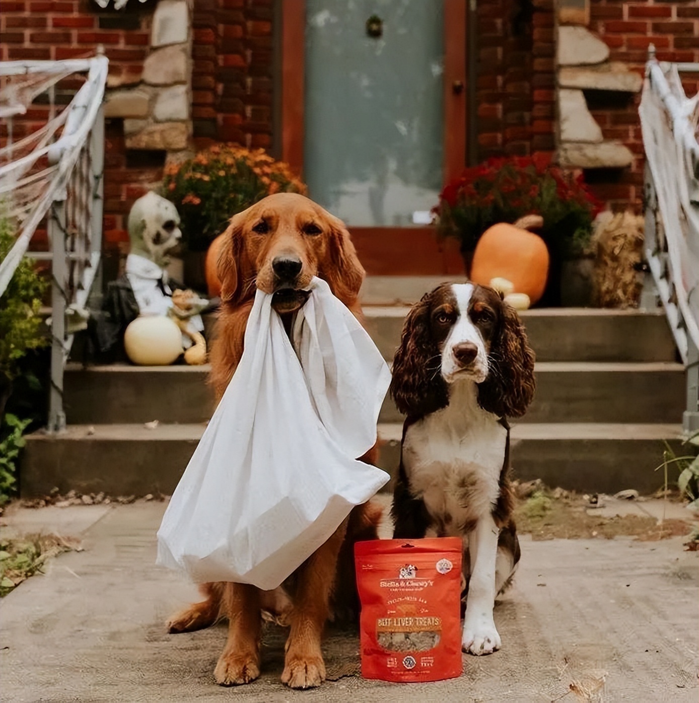 加速国内市场布局，SC官宣乐它奥利派为品牌两大业务代理