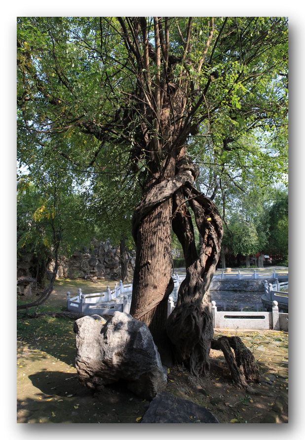 李靖故居研学,李靖故居全部视频