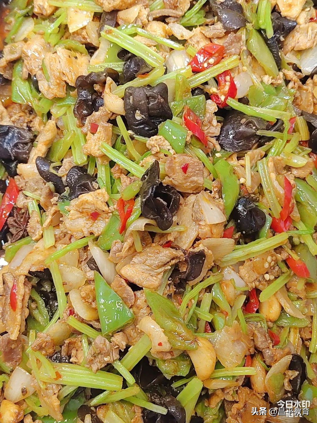 舌尖上的校园张家港,舌尖上的校园短片