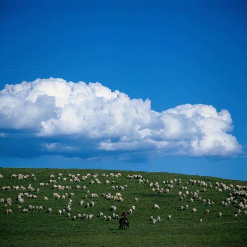 看阿根廷,去看看阿根廷的大城市