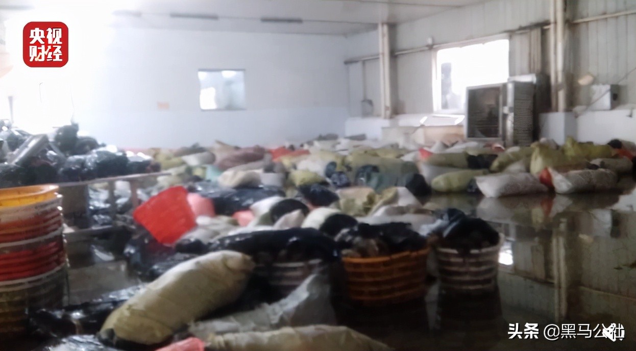 315晚会曝光网红,315晚会曝光网红名单