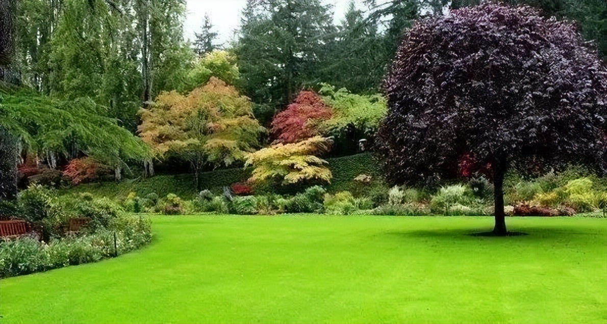 露天矿山基本知识讲解,露天矿山标准是什么