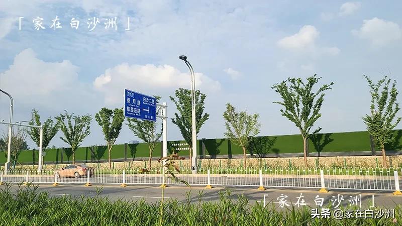 武汉白沙洲毛坦公园简介,武昌白沙洲毛坦公园