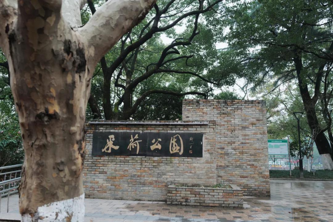 没想到有一天，在菜场被馋哭