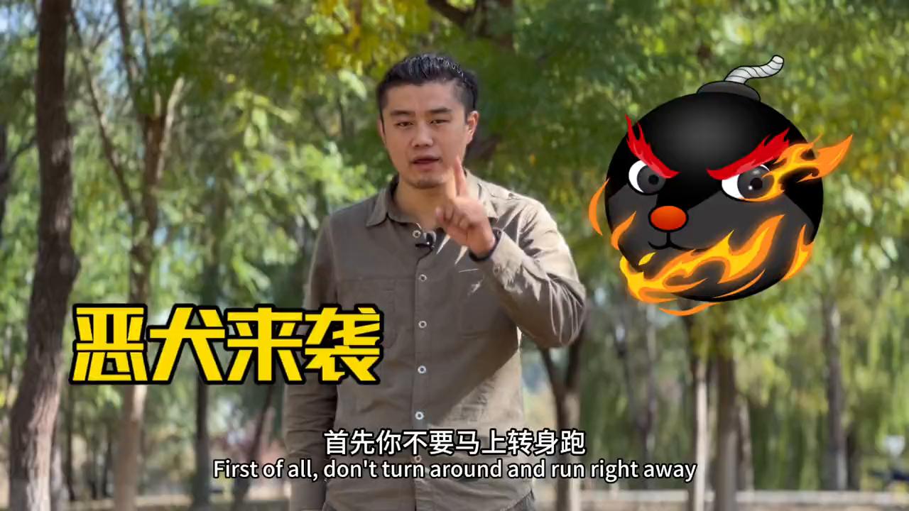 如果你遇到恶犬袭击怎么办,恶犬准备攻击你如何把它赶走