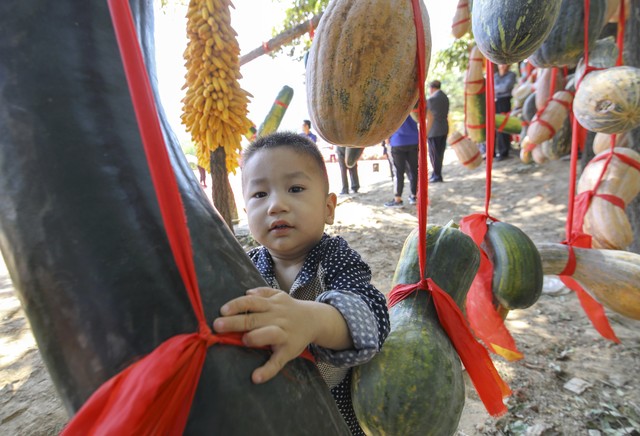 端午最后一天，烧烤够级体验了，返程搬砖了，收心聊两句创业的事