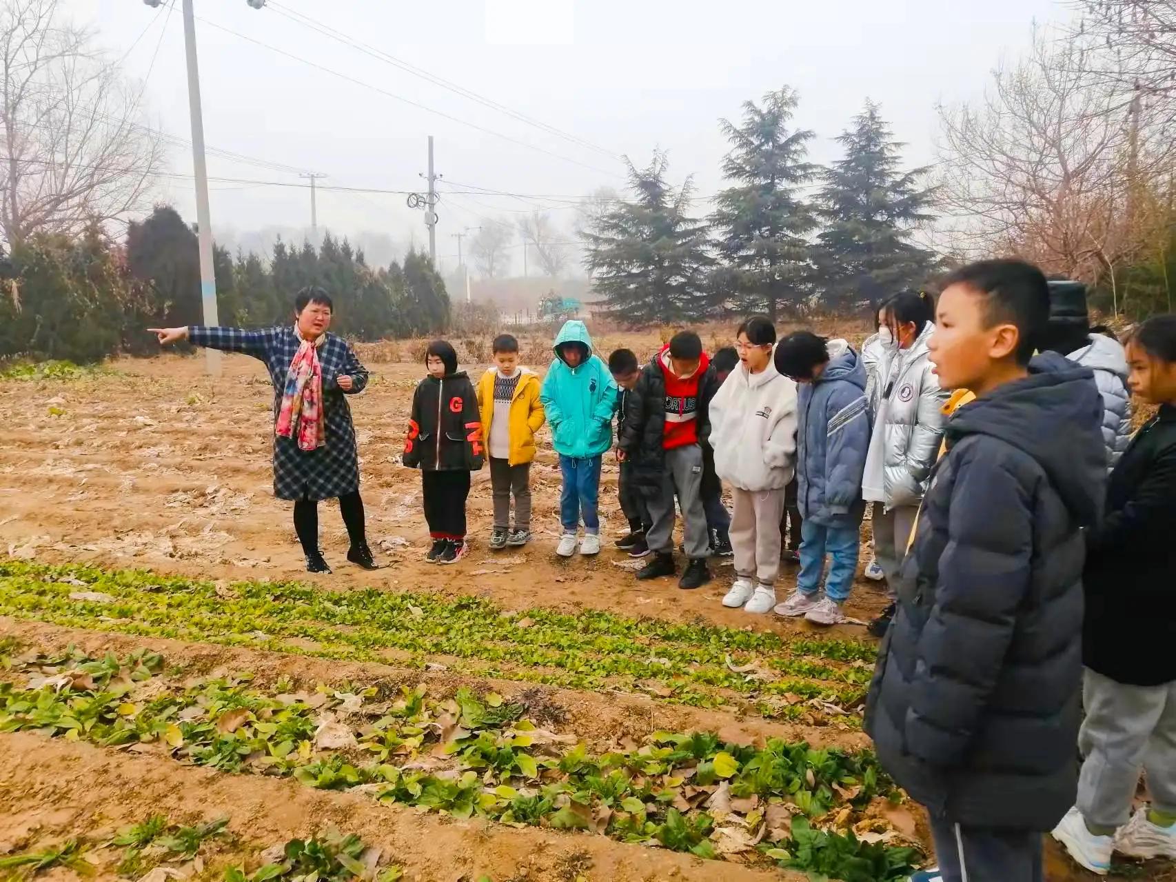 「致远集」一起长大21