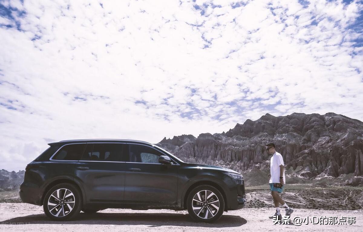 理想汽车在中国电动汽车排名,理想汽车在中国新能源市场占比