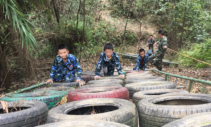 夏令营机构有哪些比较正规,成都夏令营正规机构