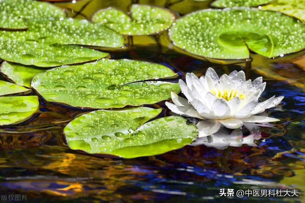 阳气虚弱，命门火衰，这就是你时间短的原因