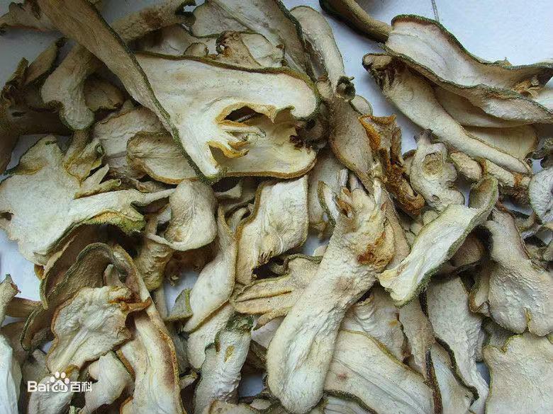 中医分享一味抗癌中药,每日一味抗癌中药