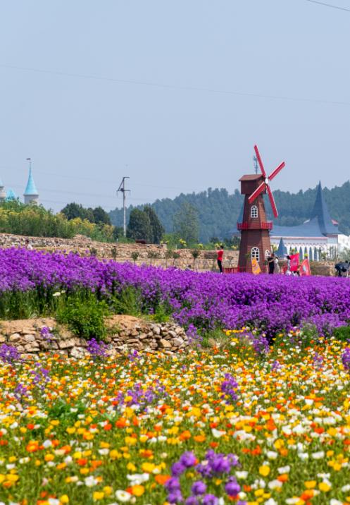 济南旅游公交专线有哪些 (济南近郊公交直达的游玩场所)