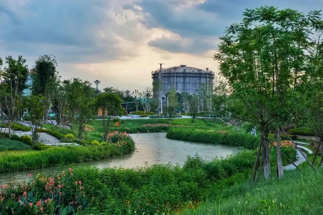 春暖花开运动好时节,春暖花开该开始运动了