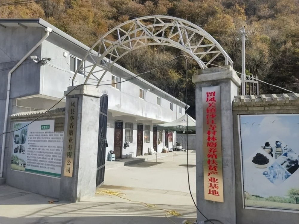 国网凤县供电公司：麝过青山草木香——国网凤县公司驻留凤关镇沙江寺村工作队乡村振兴工作手记