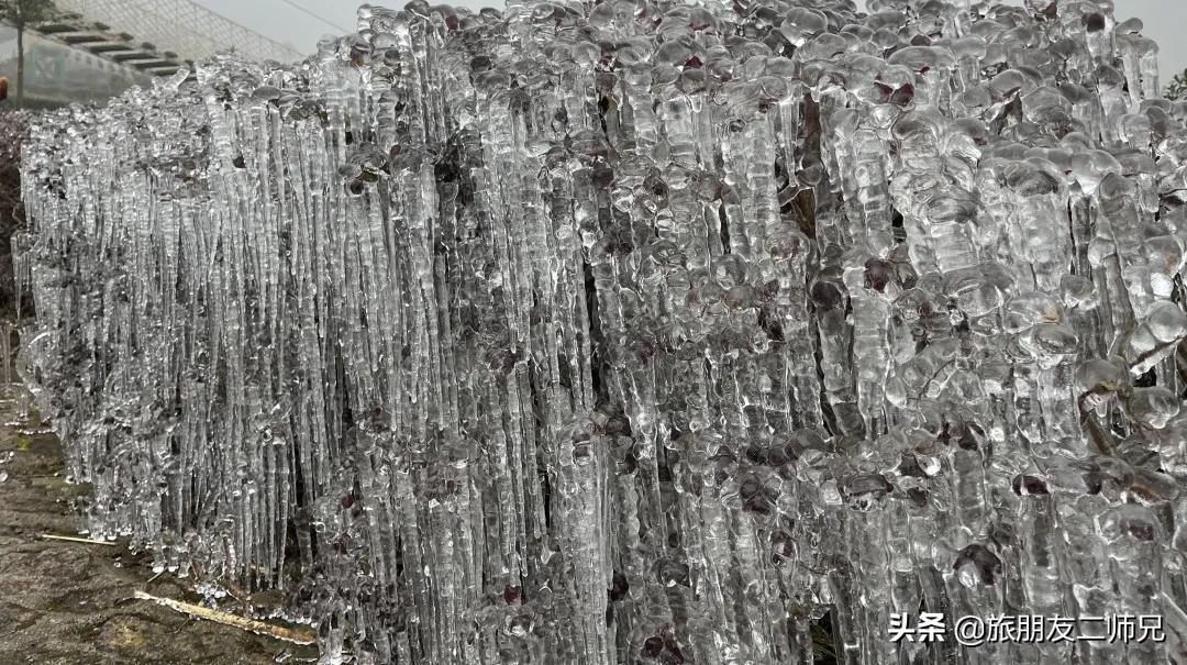 清远金子山旅游攻略看雾凇,广东金子山雪景旅游攻略