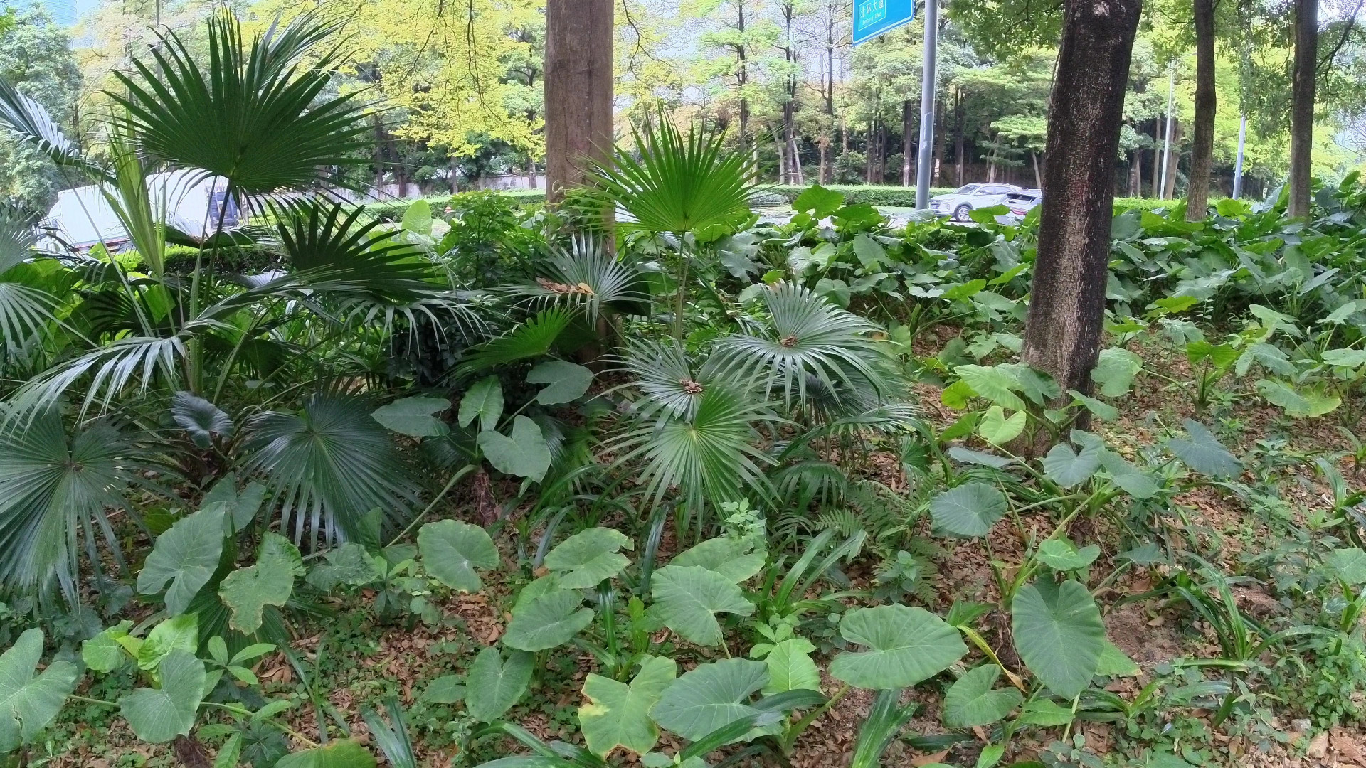 insta360oners优点缺点,insta360oners最新测评