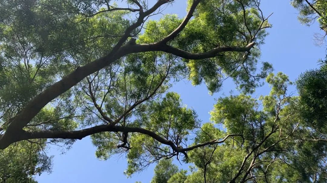 孝顺妈妈该怎么做,哄妈妈的十个方式