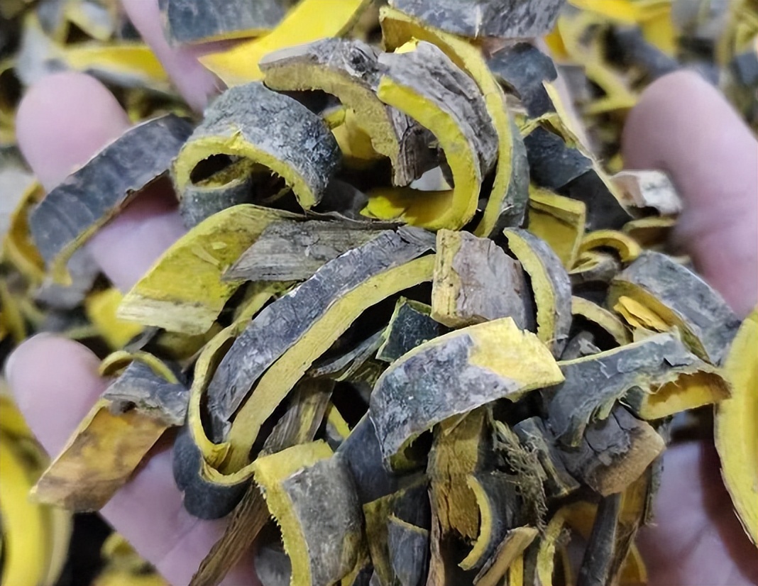 治疗尿路感染的误区有哪些呢,中医学看待尿路感染