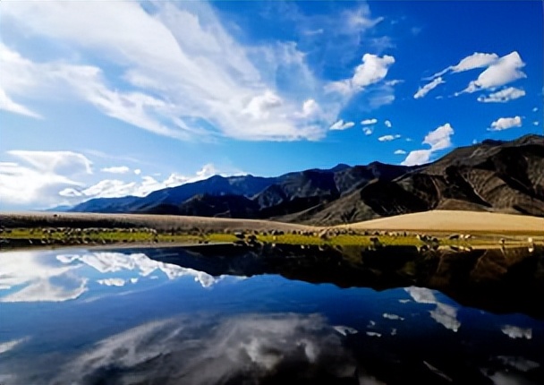 新冠肺炎历史每日数据,新冠肺炎历史全集