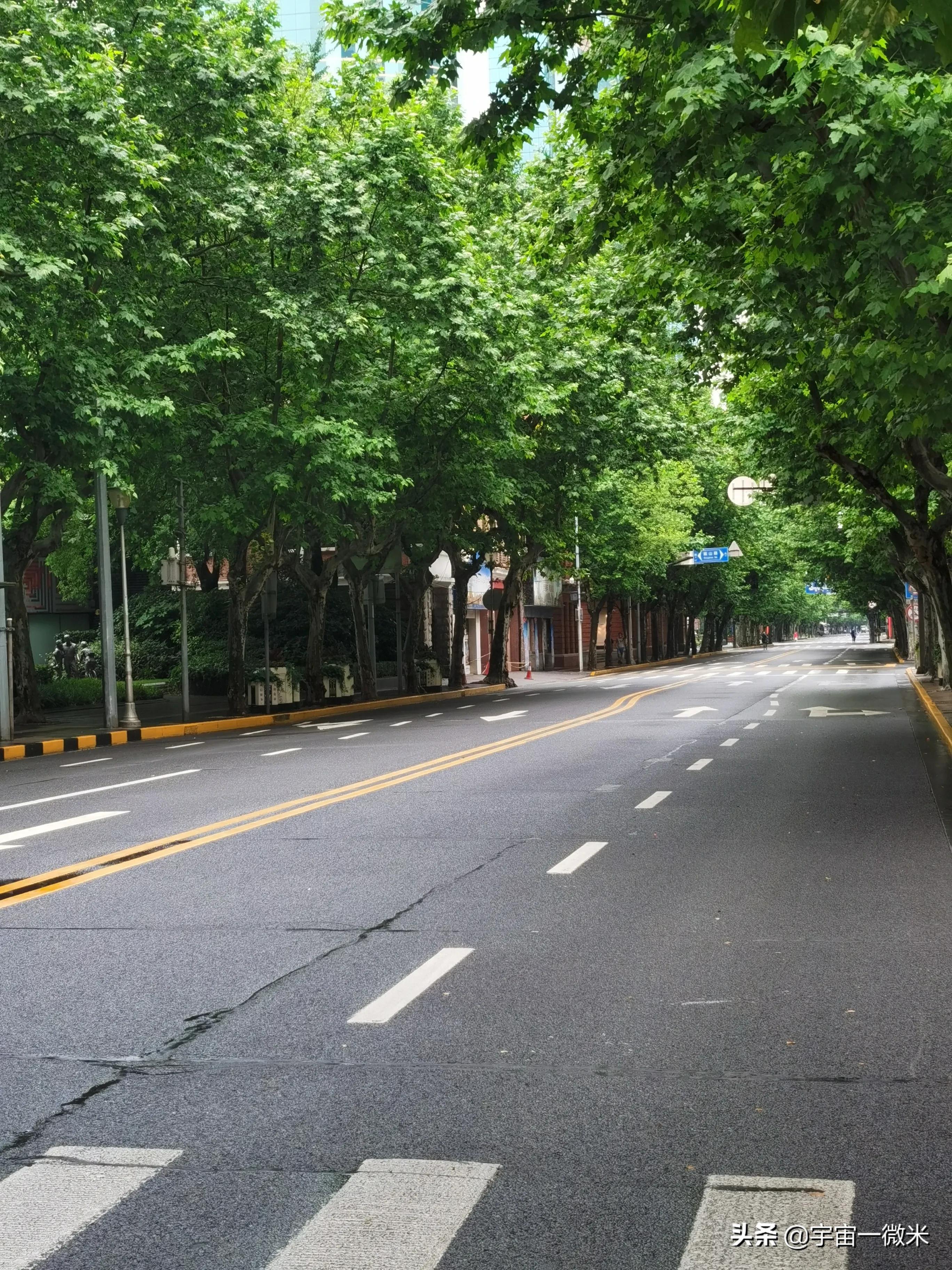 上海解封前的视频,上海古美街道平南一二村解封了吗