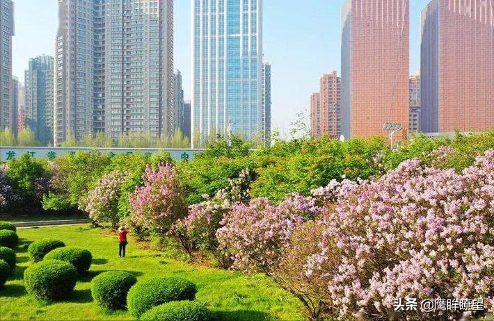 东北有座小城,东北有座城市