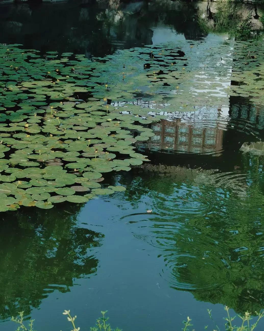 谁不忆江南完整版,谁不忆江南