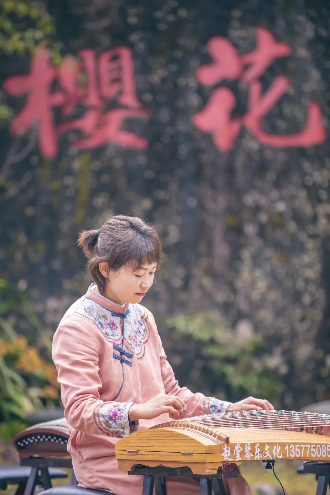 腾冲十里樱花风景区,腾冲到樱花谷旅游攻略