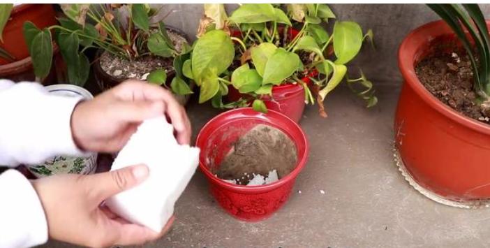 养花时花盆底下的小洞可以堵上吗,花盆下面垫个塑料盆会烂根吗