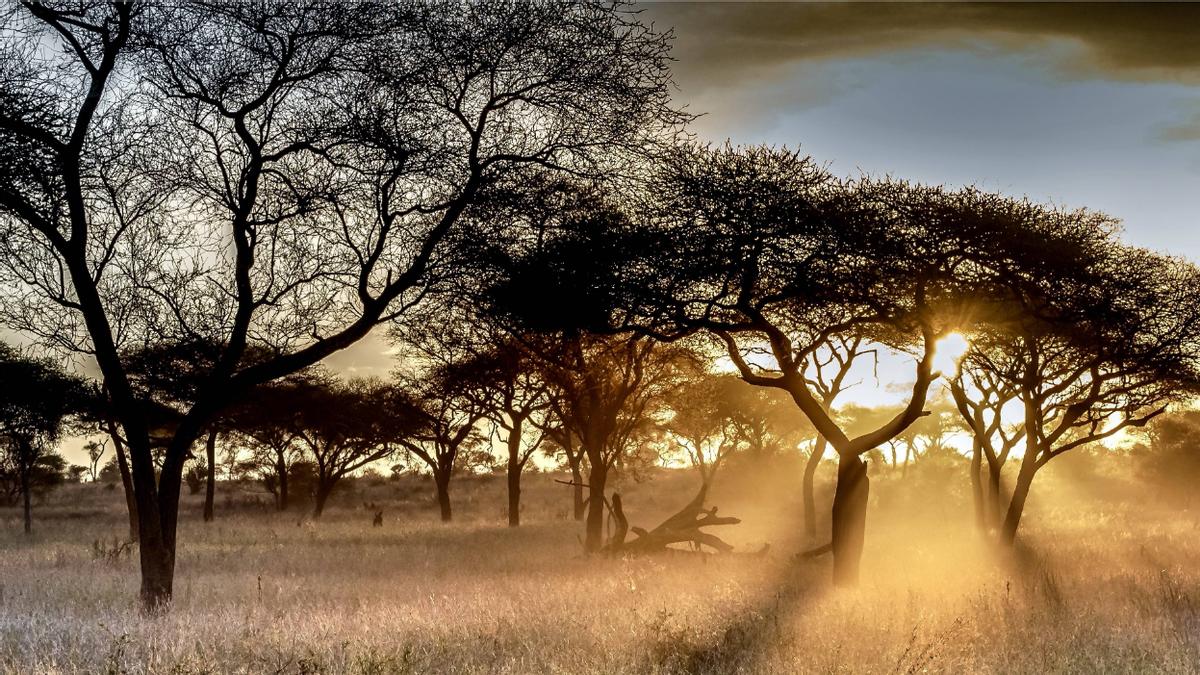 尼日利亚音乐特点,尼日利亚民族文化