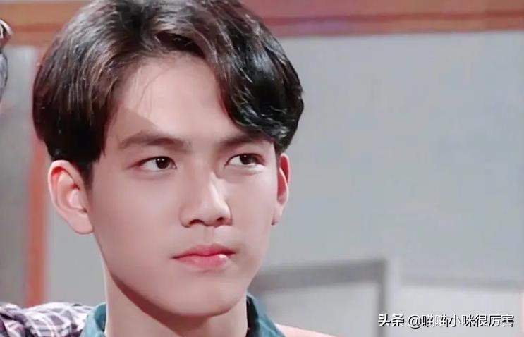 什么发型都能驾驭的男明星,你们觉得哪个男明星发型好看