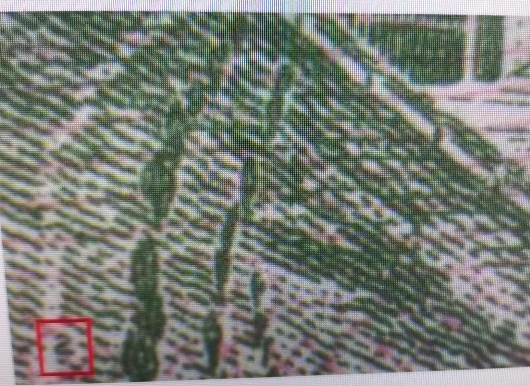 第三套人民币没暗记就是假的吗,第三套人民币假币有防伪暗记