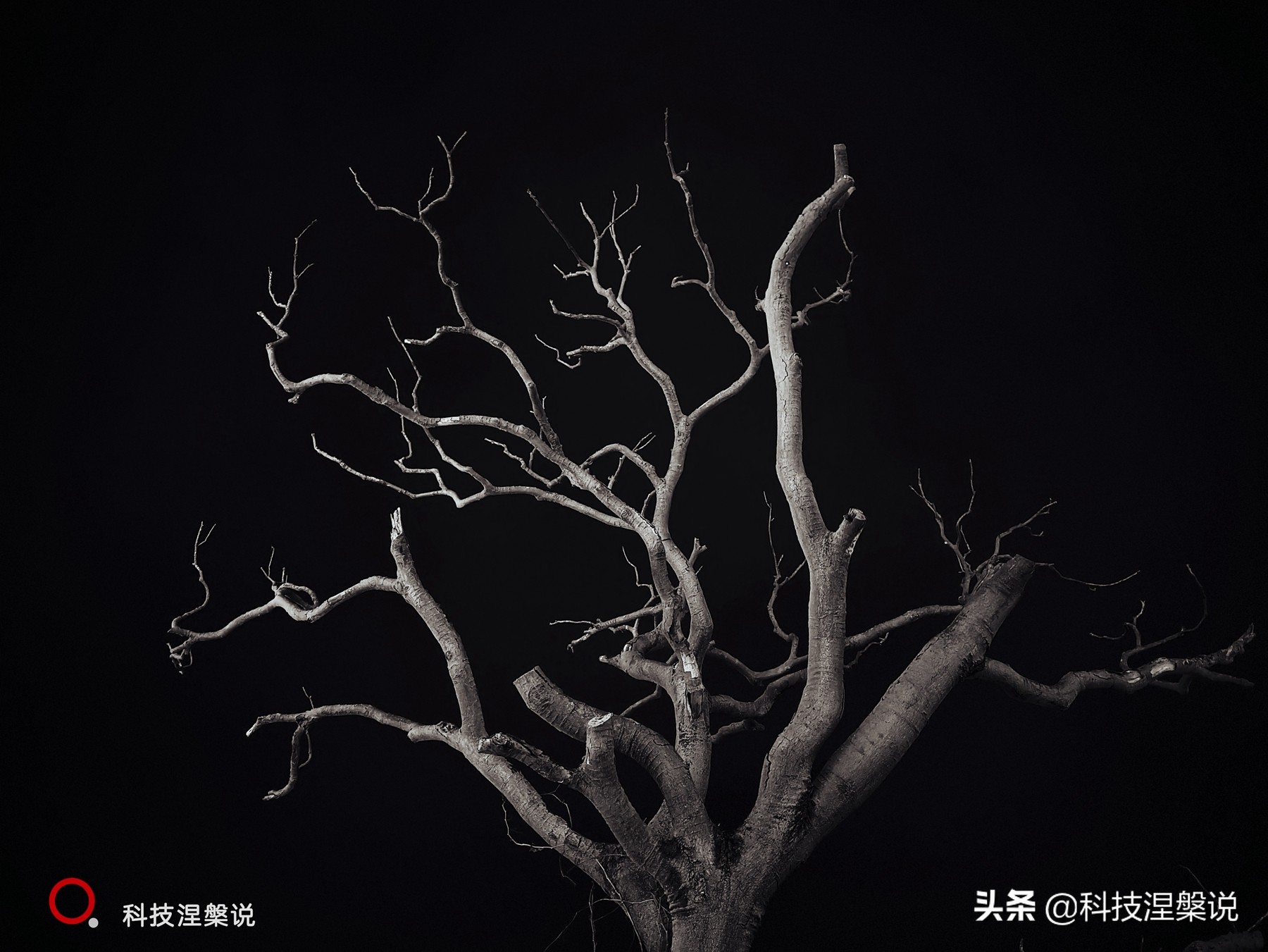 努比亚z40pro35mm镜头没反应,努比亚z40spro拍照评测