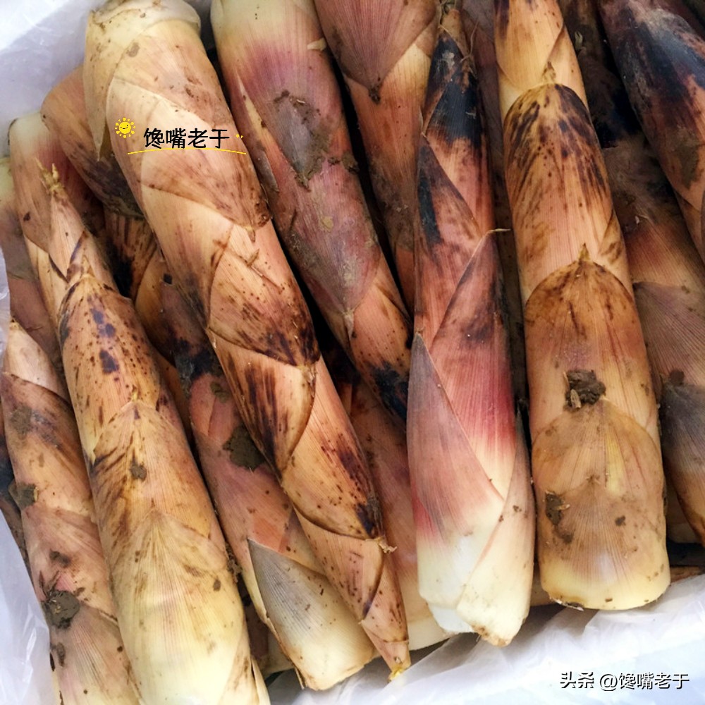 春笋几月份能买到,春笋应该买哪一种